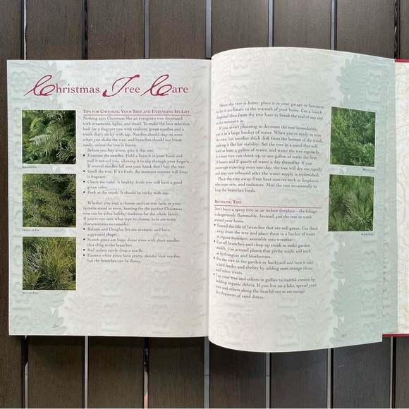 Y2K BETTER HOMES & GARDENS ‘CHRISTMAS JOY & COMFORT’ BOOK’!! - Picture 5 of 11